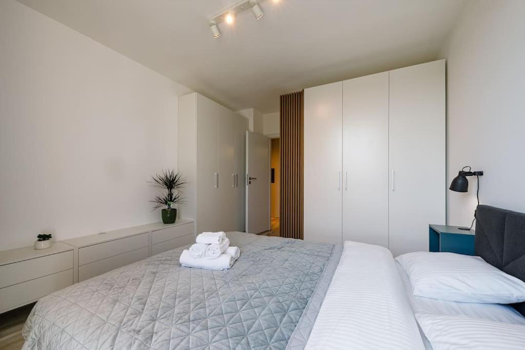 Luxury Apt. Near River & Parking Temesvár Kültér fotó