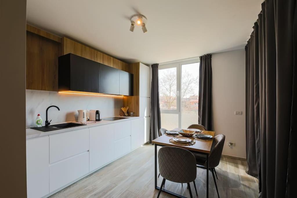 Luxury Apt. Near River & Parking Temesvár Kültér fotó
